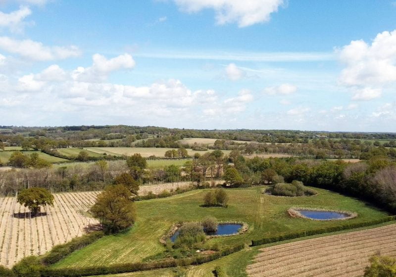 High Weald Area of Outstanding Natural Beauty