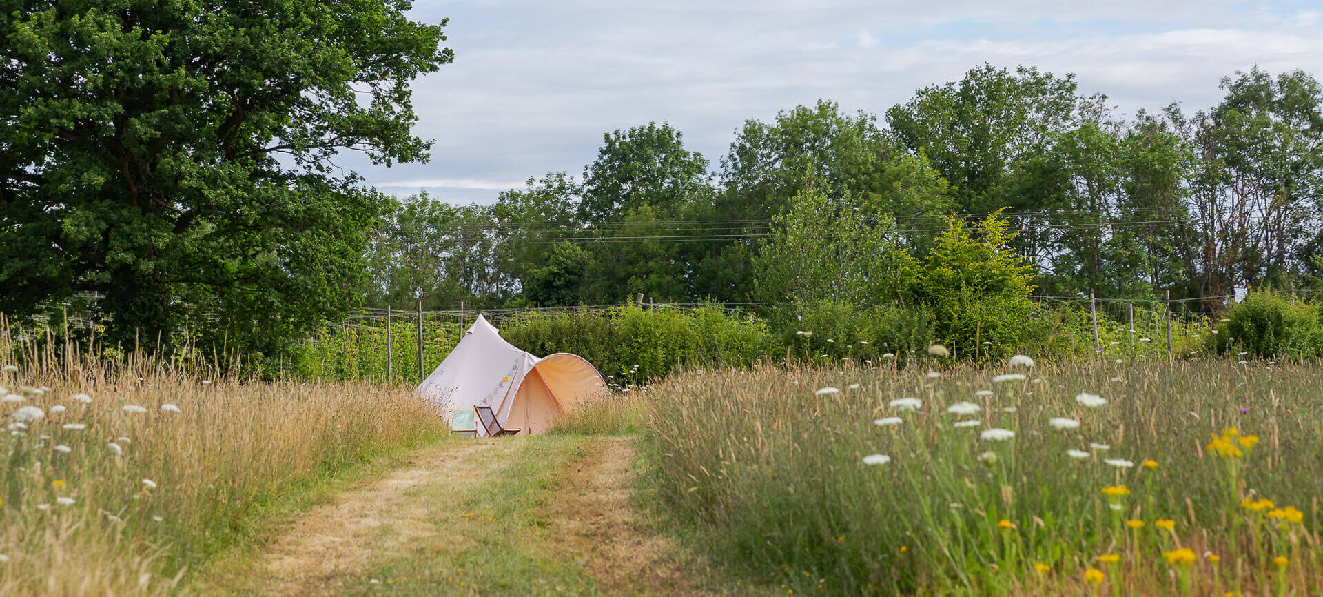 Glamping tent in a meadow at Stone Pit Meadows campsite, Kent