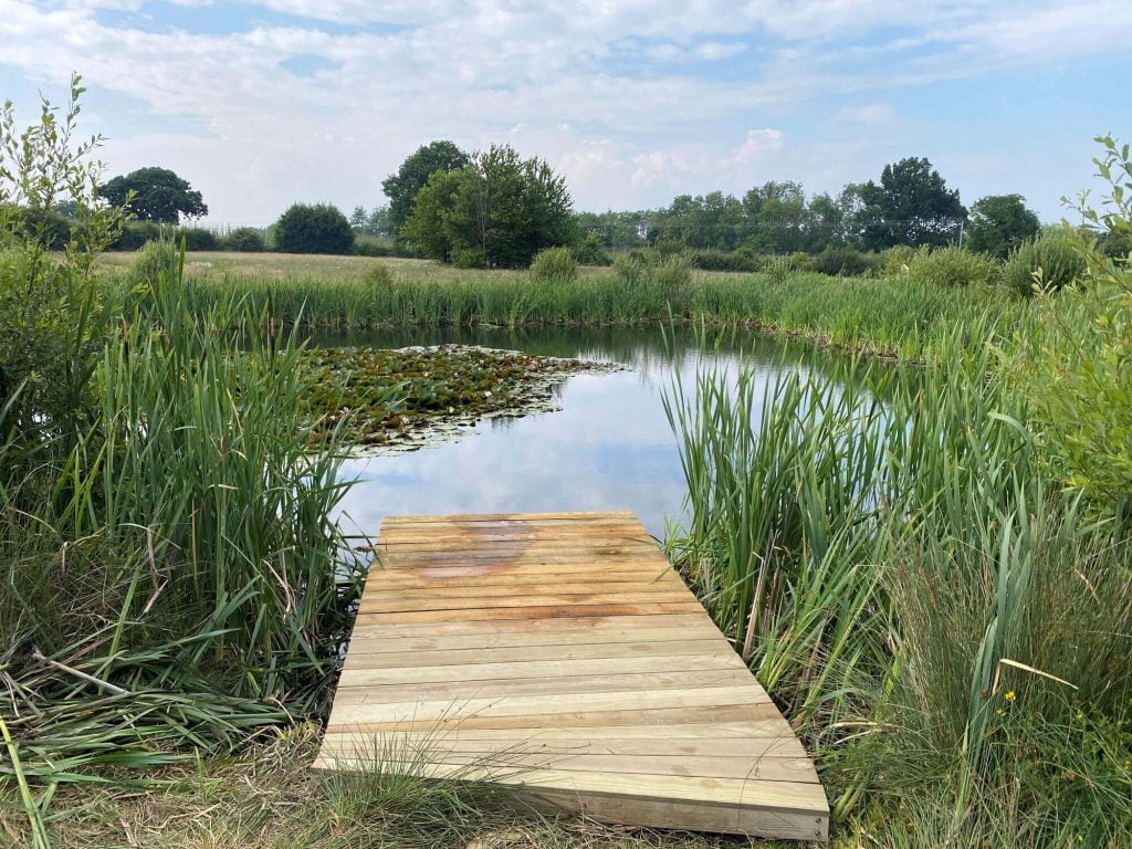 Wild Swimming in pond on campsite