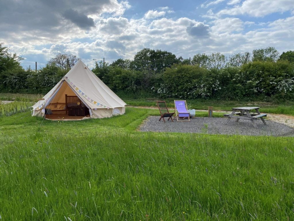 Bell Tent Primrose